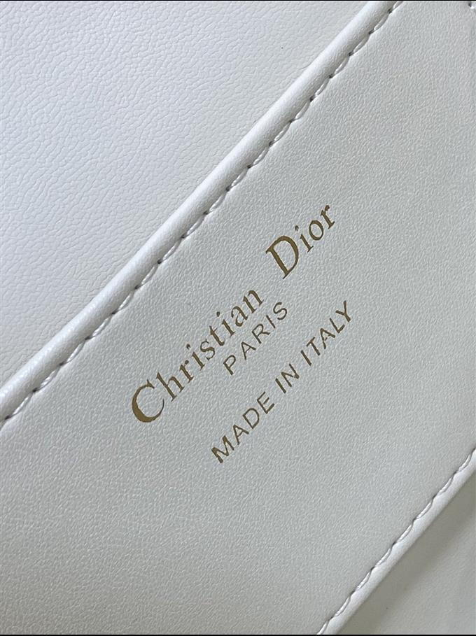 2025228Y800P203352192