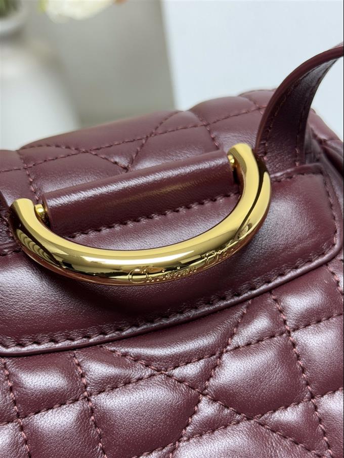 2025228Y800P203355913