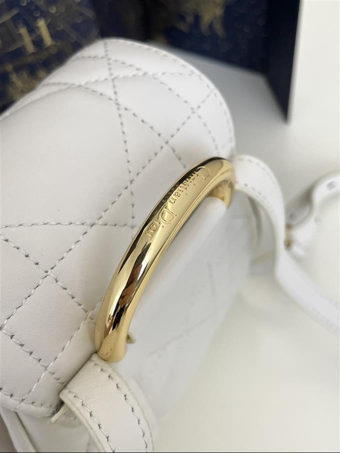 2025228Y800P203356856