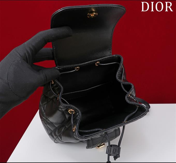 2025228Y800P203434688