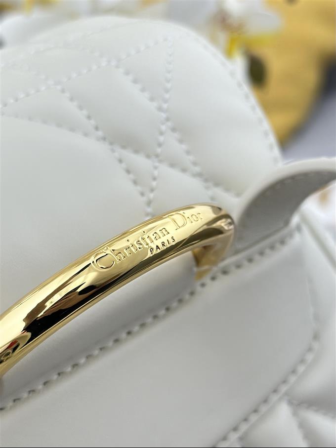 2025228Y880P203436951