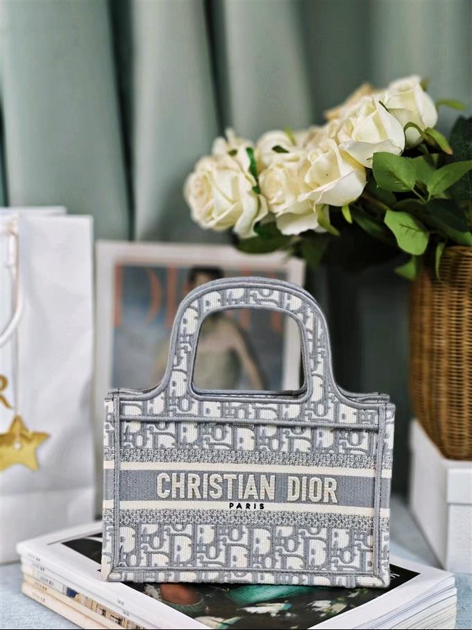 2025228Y480P203748516