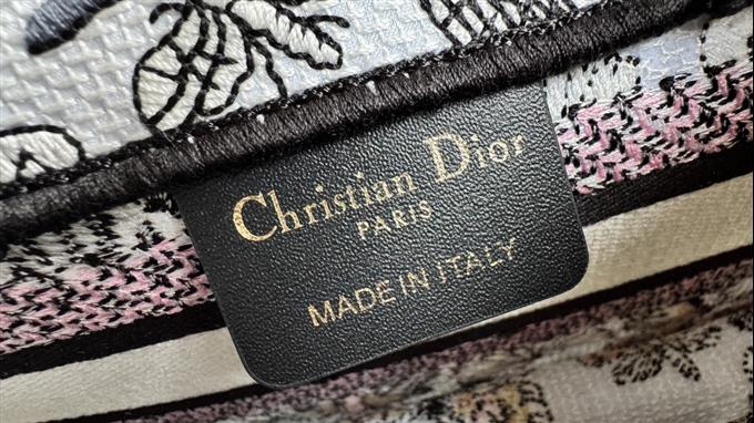 2025228Y480P203759403