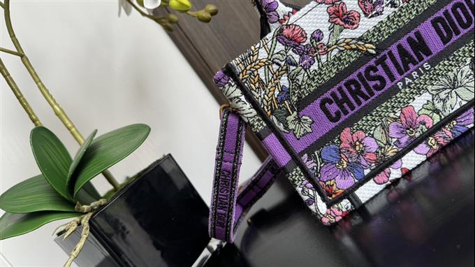 2025228Y480P212212765