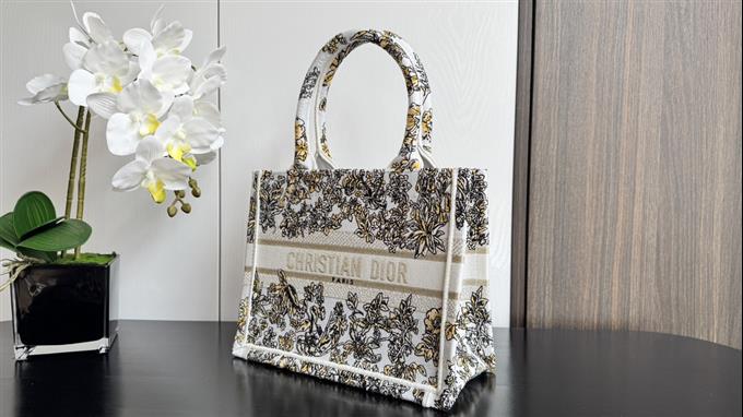 2025228Y500P203831810