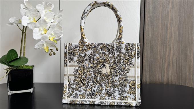 2025228Y500P203831826