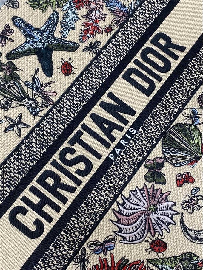 2025228Y500P212152534