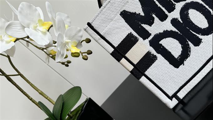 2025228Y520P203749106