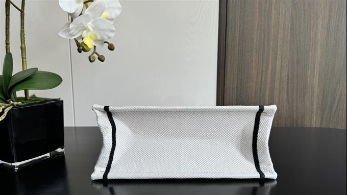 2025228Y520P203749167