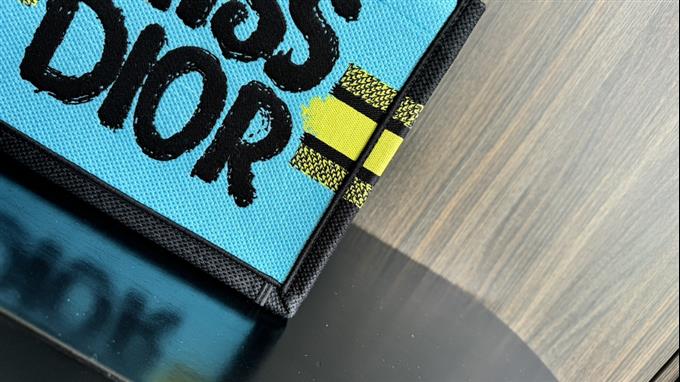 2025228Y520P203749434