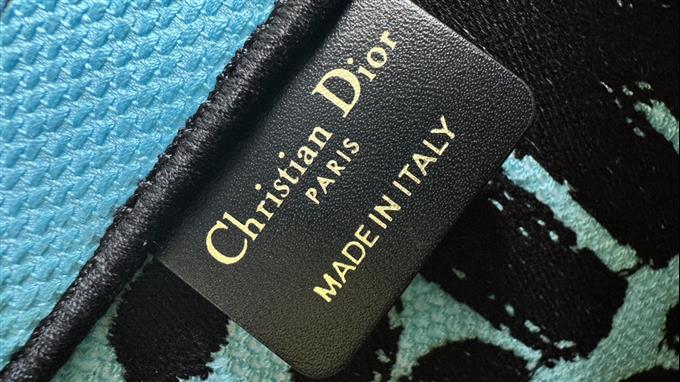 2025228Y520P203749481