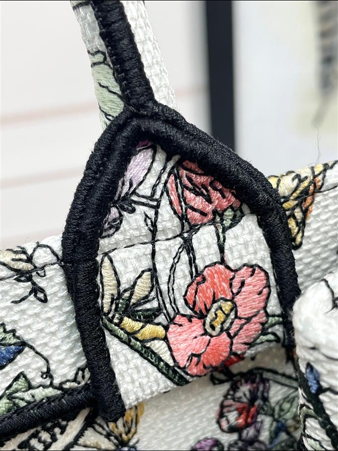 2025228Y550P203749747