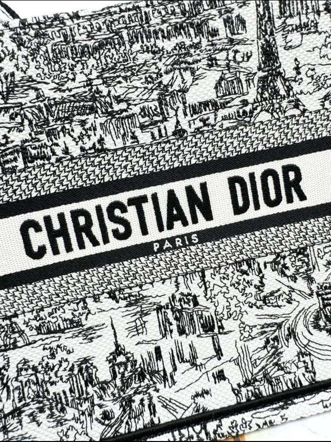 2025228Y550P20375013