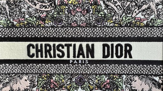 2025228Y550P20381861