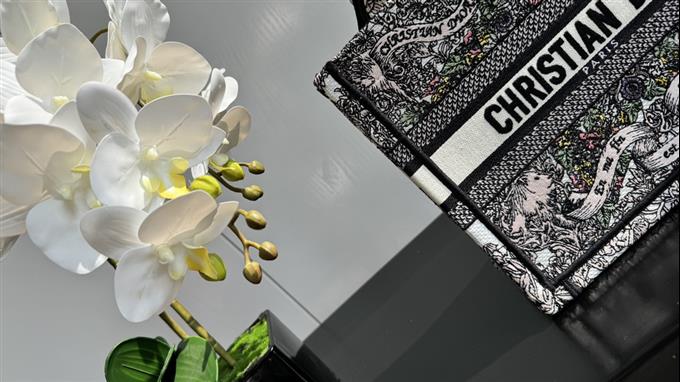 2025228Y550P20381877