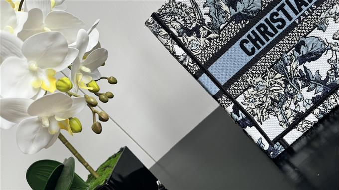 2025228Y550P20382302