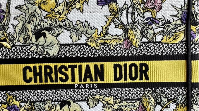 2025228Y550P20382427