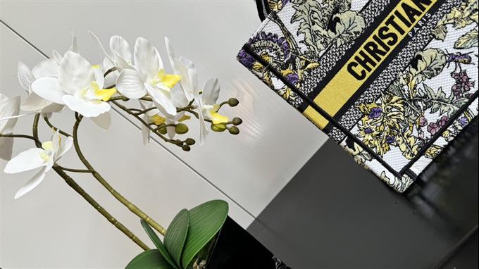 2025228Y550P20382442