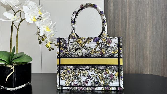 2025228Y550P20382473