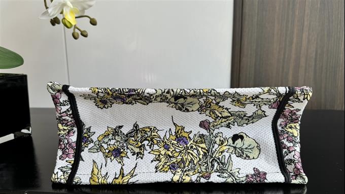 2025228Y550P20382504