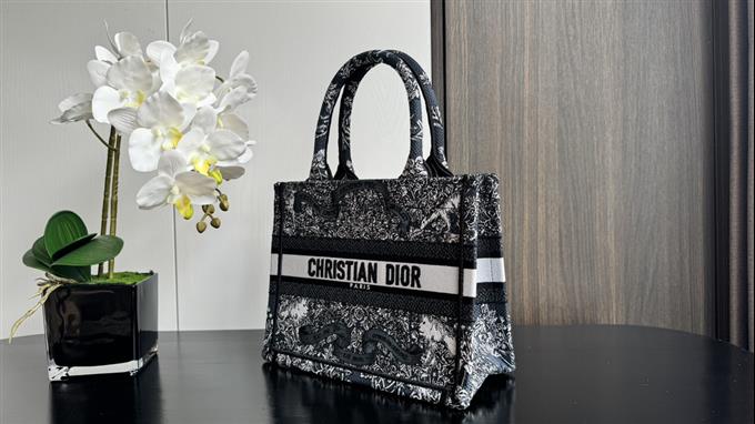 2025228Y550P20382884