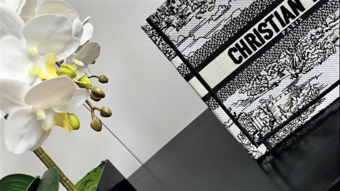 2025228Y550P20383296