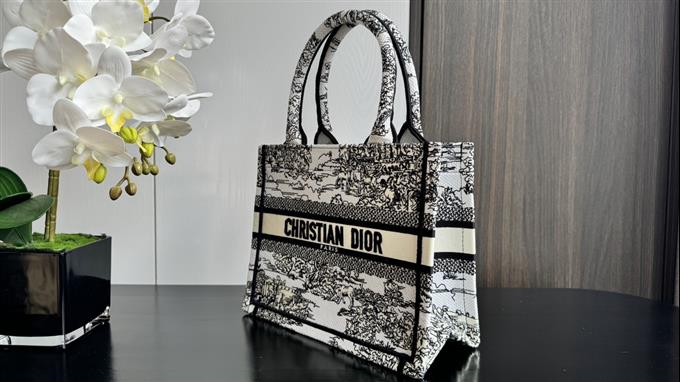 2025228Y550P20383312