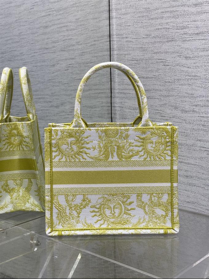 2025228Y550P20384303