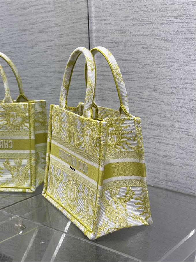 2025228Y550P20384335