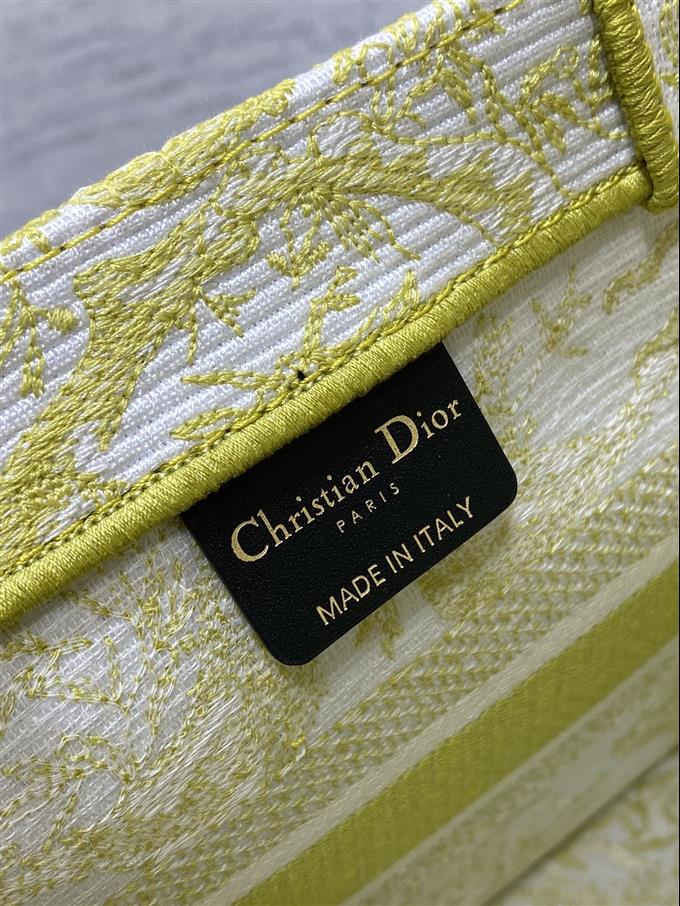 2025228Y550P20384383