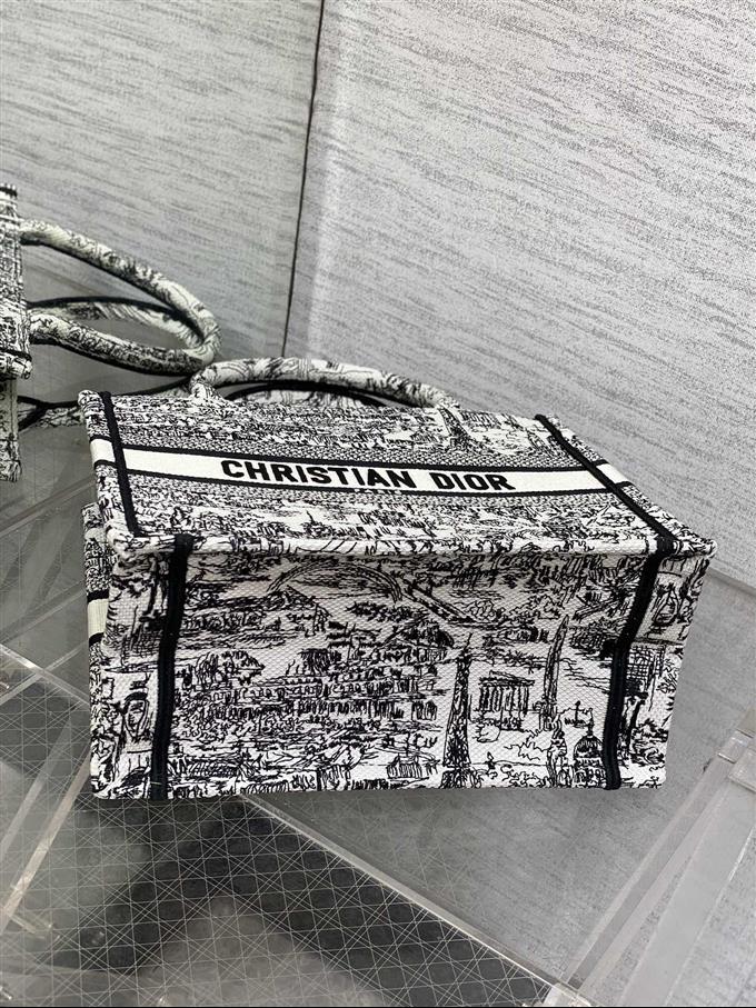 2025228Y550P20387744