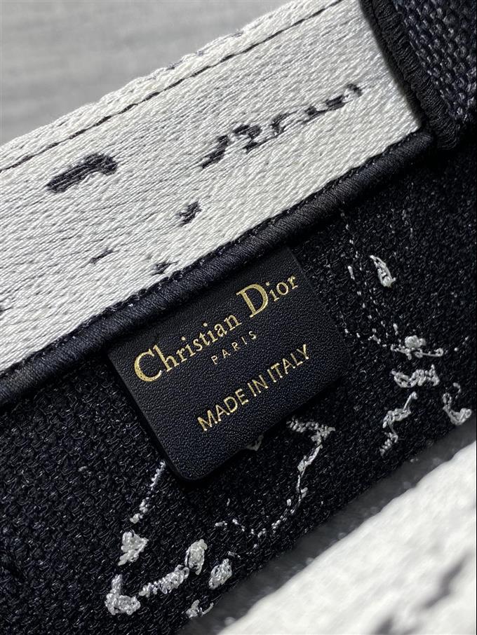 2025228Y550P20387919