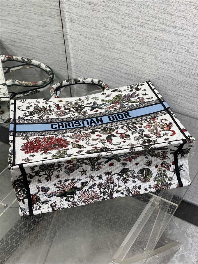 2025228Y550P212155481