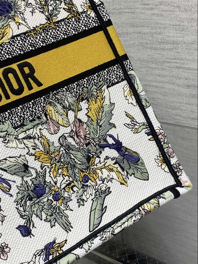 2025228Y550P212155702