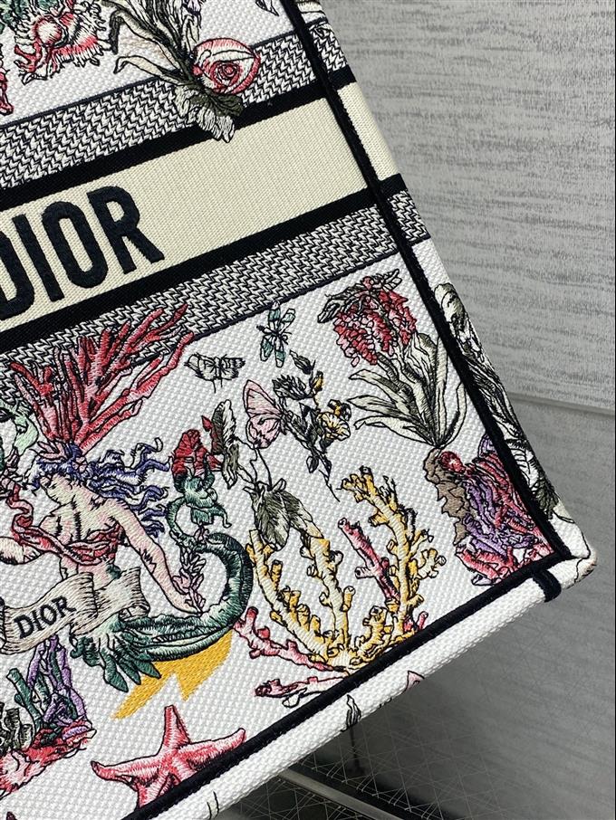 2025228Y550P212155843