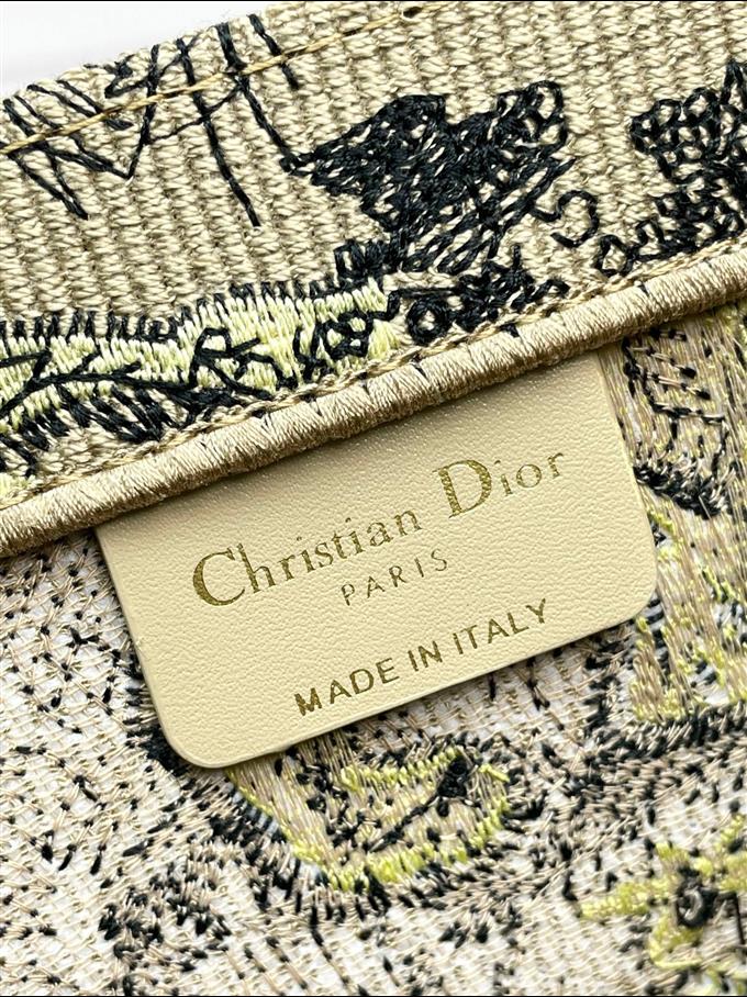 2025228Y580P203752745