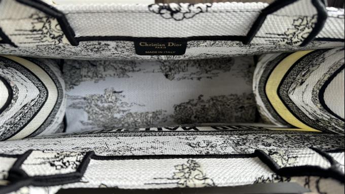 2025228Y580P203810733