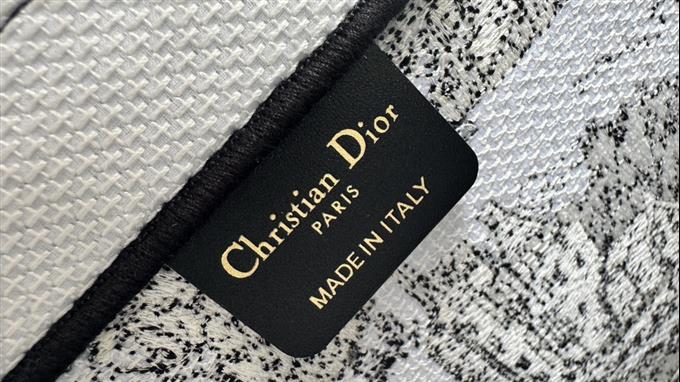 2025228Y580P203810765