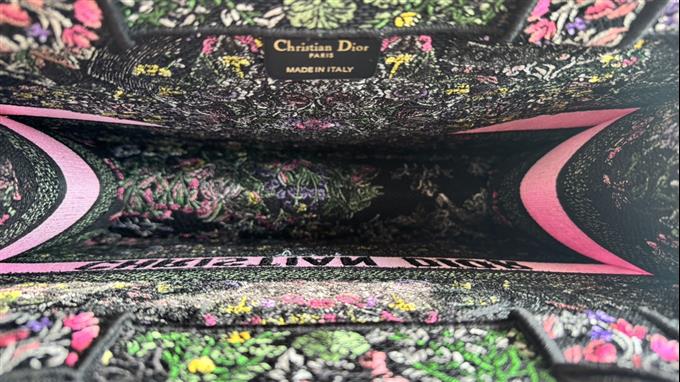 2025228Y580P203811601