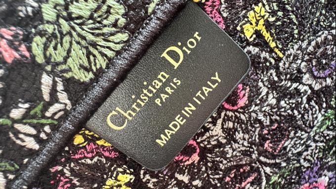 2025228Y580P203811617