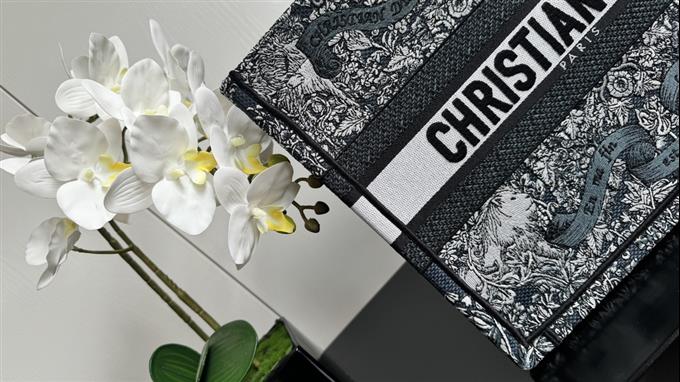 2025228Y580P203811948