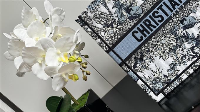 2025228Y580P203812230