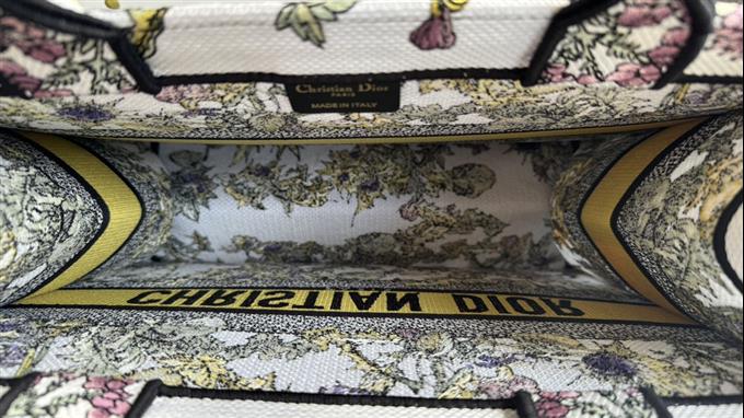 2025228Y580P203812446