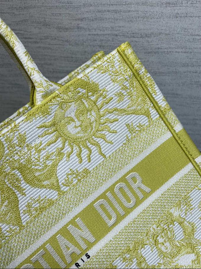 2025228Y580P203813497