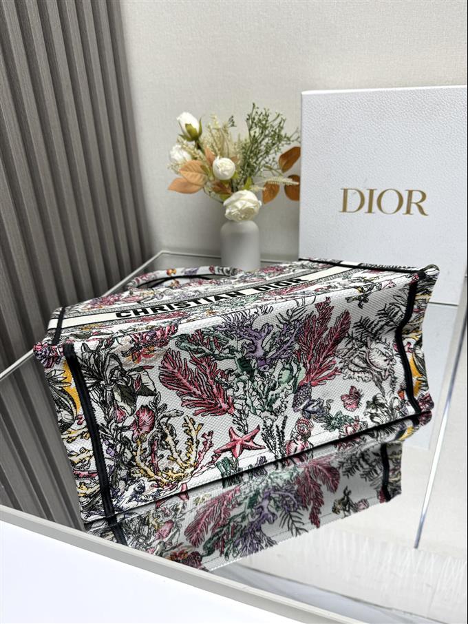 2025228Y580P203816903