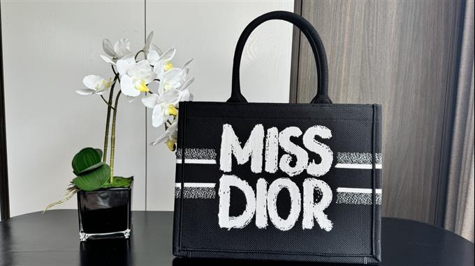 2025228Y580P203817619