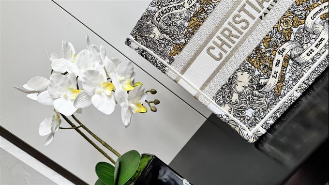 2025228Y580P20381814