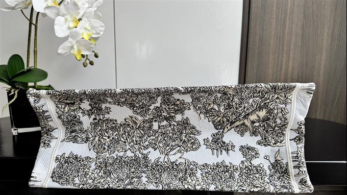 2025228Y580P203833555