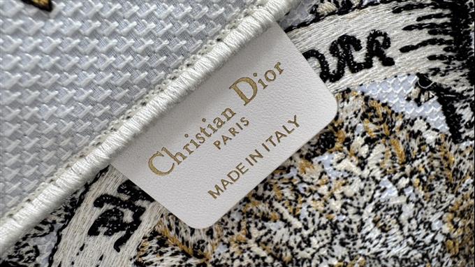 2025228Y580P203833586