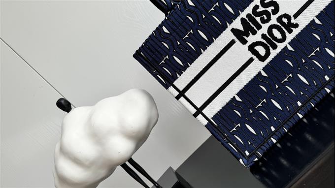 2025228Y580P212159665